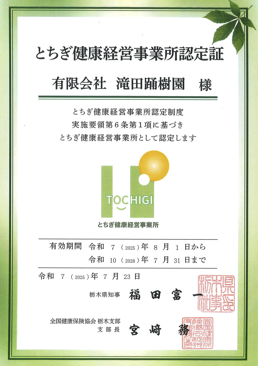 とちぎ健康経営事業所認定証 有限会社滝田踊樹園樣 とちぎ健康経営事業所認定制度 実施要領第6条第1項に基づき とちぎ健康経営事業所として認定します とちぎ健康経営事業所 有効期間 今和 7 (2025)年8月1日から 令和 10 (2028)年7月31日まで 令和 7 (2025)年7月23日 栃木県知事 福田富一 全国健康保険協会 栃木支部 支部長 宮崎務